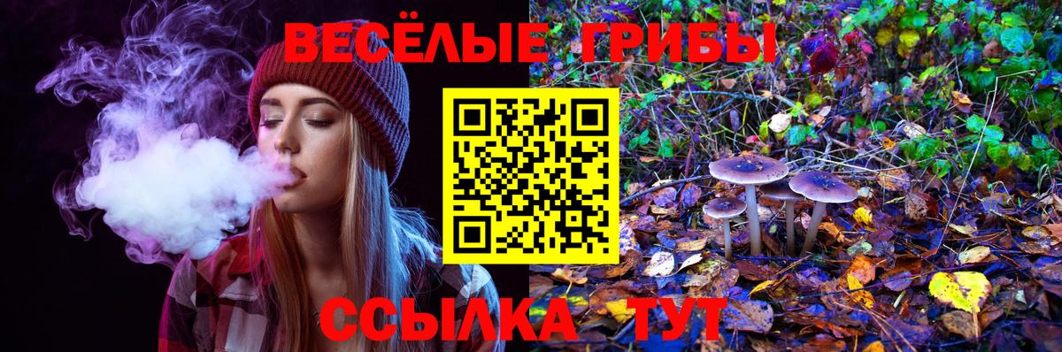 Псилоцибиновые грибы Cubensis  Вход с VPN  Кемерово 